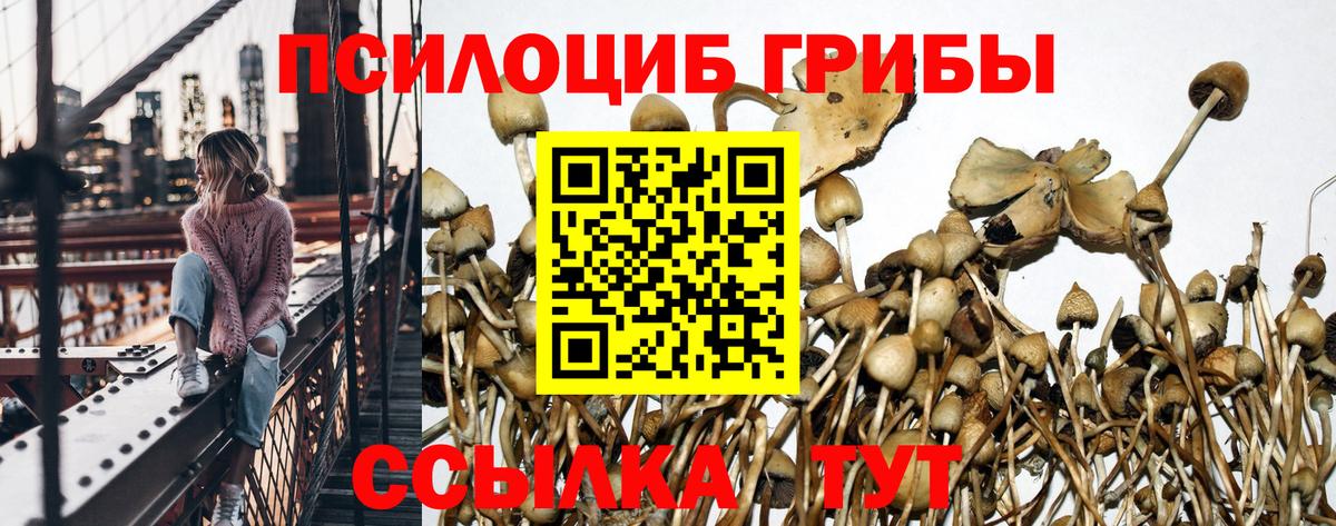 Галлюциногенные грибы Magic Shrooms  Вход с VPN  Долгопрудный 
