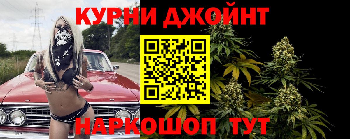 Конопля марихуана  Каннабис сатива  Долгопрудный  Каннабис Bruce Banner  Вход с VPN 